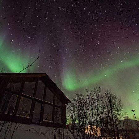 Aurora View Cabin Lyngseidet Exterior photo