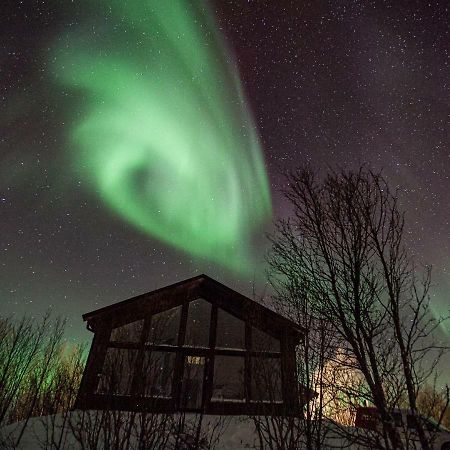 Aurora View Cabin Lyngseidet Exterior photo