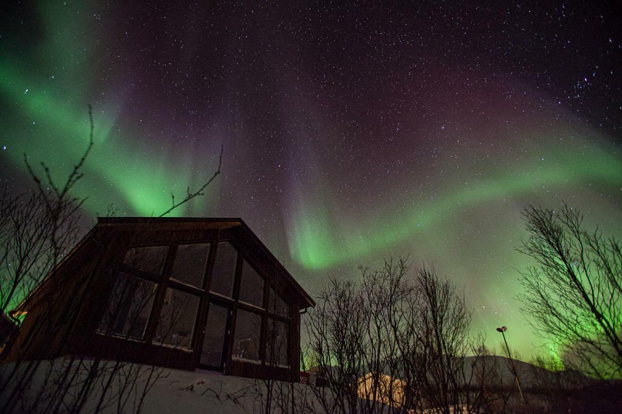 Aurora View Cabin Lyngseidet Exterior photo
